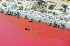 Lac-Rose_32