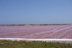 Lac-Rose_39