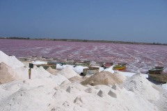 Lac-Rose_40