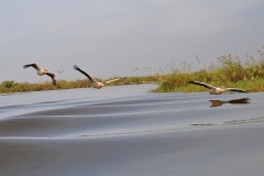 Parc-de-Djoudji_27
