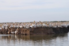 Parc-de-Djoudji_37