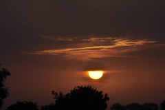 DSC_1381