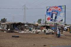 Dakar_08