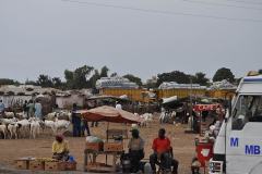 Dakar_12