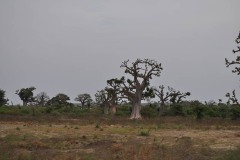 Dakar_18